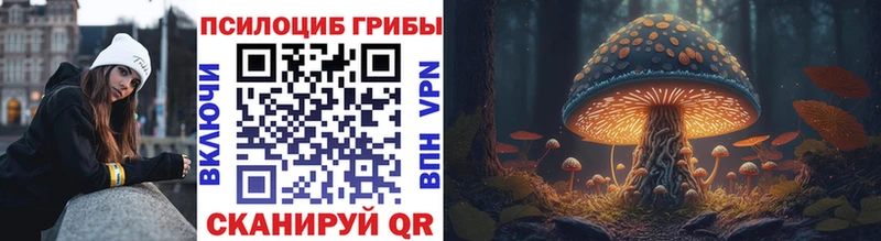 Купить где  Новоульяновск  Псилоцибиновые грибы Cubensis 